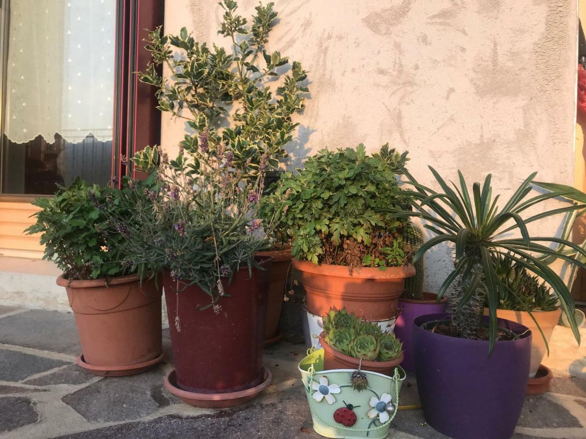 Puffele B&B Enego Kültér fotó